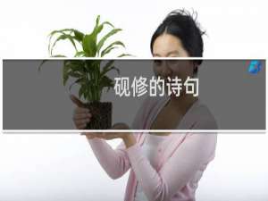 砚修的诗句
