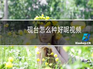砚台怎么种好呢视频