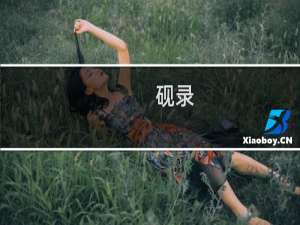 砚录