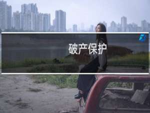 破产保护（破产保护）