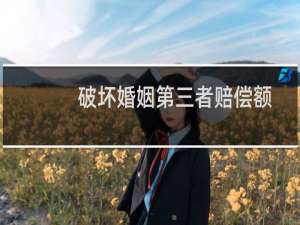 破坏婚姻第三者赔偿额