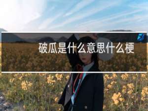 破瓜是什么意思什么梗