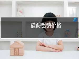 硅酸铝钠价格