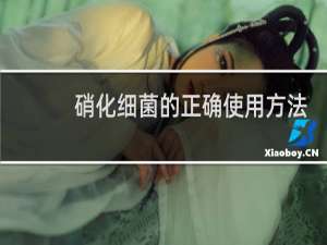 硝化细菌的正确使用方法