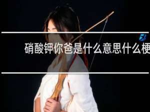 硝酸钾你爸是什么意思什么梗