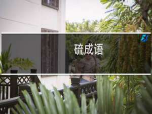 硫成语