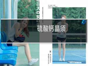 硫酸钙晶须
