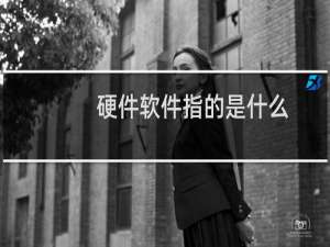 硬件软件指的是什么