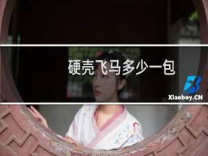 硬壳飞马多少一包