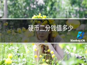 硬币二分钱值多少