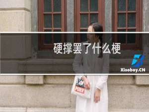 硬撑罢了什么梗