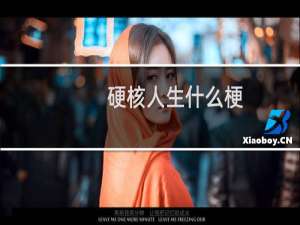 硬核人生什么梗