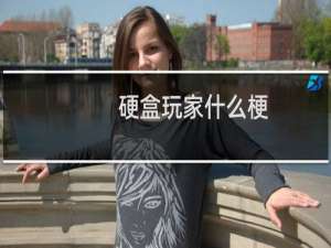 硬盒玩家什么梗