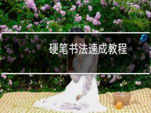 硬笔书法速成教程