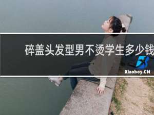 碎盖头发型男不烫学生多少钱
