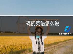 碗的英语怎么说