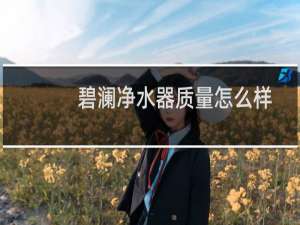 碧澜净水器质量怎么样
