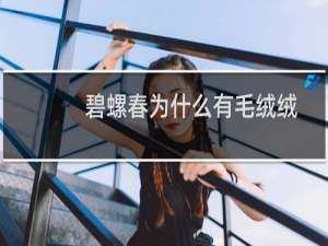 碧螺春为什么有毛绒绒