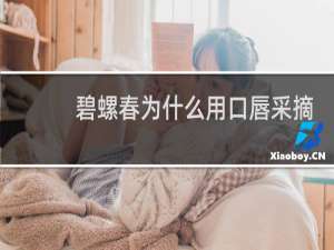 碧螺春为什么用口唇采摘