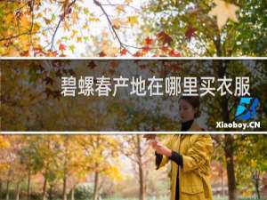 碧螺春产地在哪里买衣服
