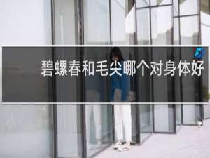 碧螺春和毛尖哪个对身体好
