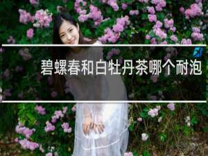 碧螺春和白牡丹茶哪个耐泡