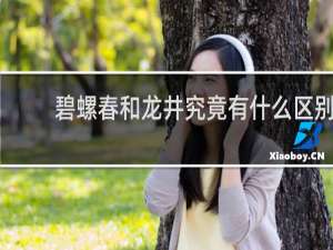 碧螺春和龙井究竟有什么区别