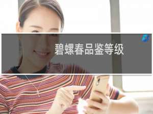 碧螺春品鉴等级