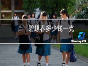 碧螺春多少钱一克