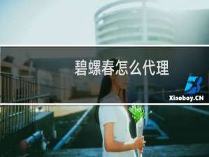 碧螺春怎么代理