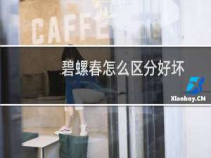 碧螺春怎么区分好坏