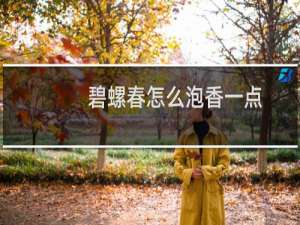 碧螺春怎么泡香一点
