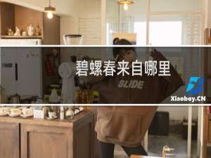碧螺春来自哪里