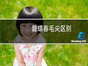 碧螺春毛尖区别