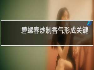 碧螺春炒制香气形成关键