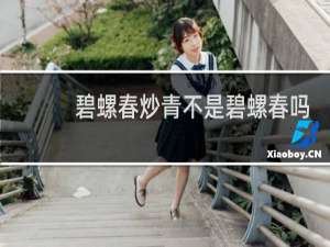 碧螺春炒青不是碧螺春吗