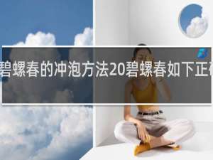 碧螺春的冲泡方法 碧螺春如下正确冲泡