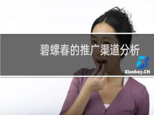 碧螺春的推广渠道分析