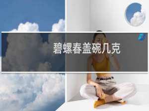 碧螺春盖碗几克