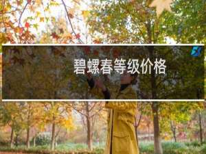 碧螺春等级价格