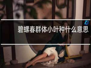 碧螺春群体小叶种什么意思