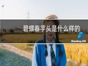 碧螺春芋头是什么样的