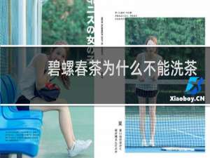 碧螺春茶为什么不能洗茶