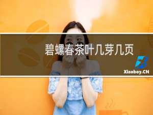 碧螺春茶叶几芽几页