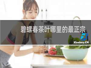 碧螺春茶叶哪里的最正宗