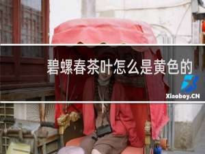 碧螺春茶叶怎么是黄色的