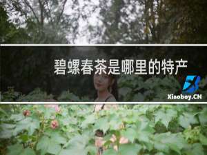 碧螺春茶是哪里的特产