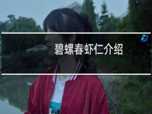 碧螺春虾仁介绍