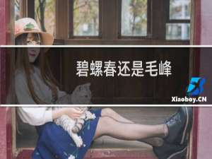 碧螺春还是毛峰