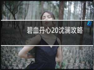 碧血丹心 沈澜攻略